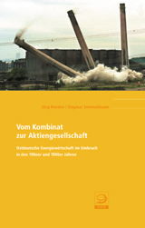 Vom Kombinat zur Aktiengesellschaft