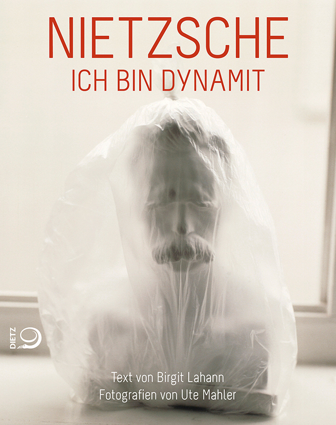 Buch-Cover von »Nietzsche«